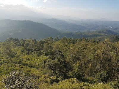 Photos of Kahagalla Estate