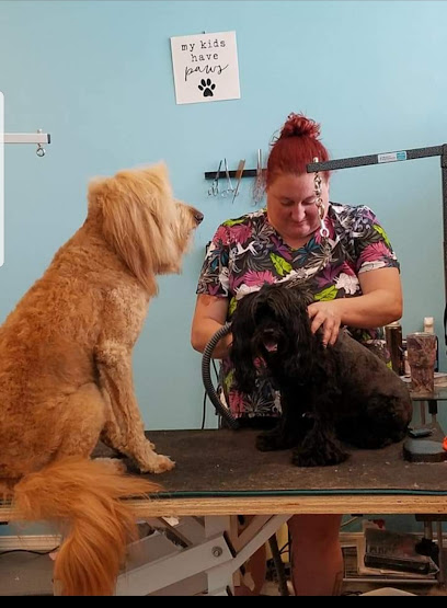 Devils to Angels Dog Grooming