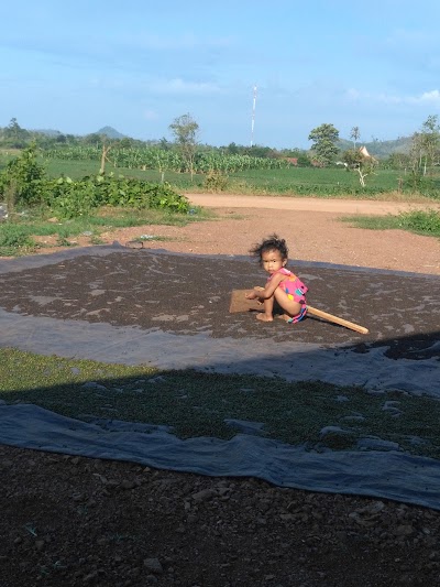 Photos of ម្រេចសំឡូត