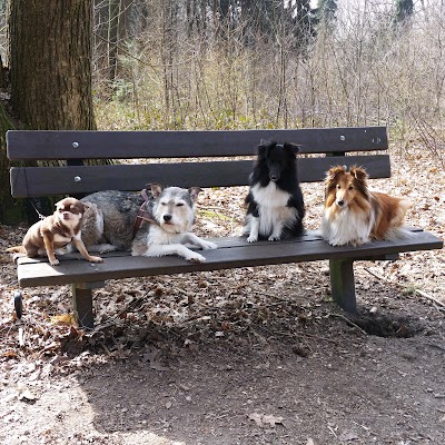 Wandelplaats Bij Oriëntalis