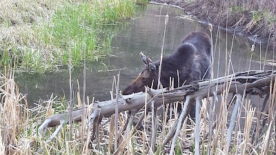 Boulder River