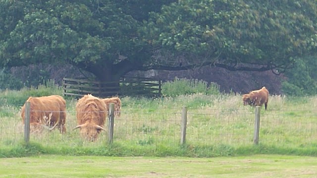 Scone Palace