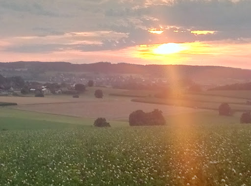 Graderunternehmen Geiger - Thumbnail