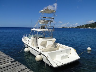 Photos of Aldive Scuba Diving and Water Sports