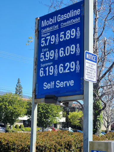 Baseline Mobil - Thumbnail