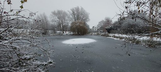 Willian Pond Gallery - United Kingdom