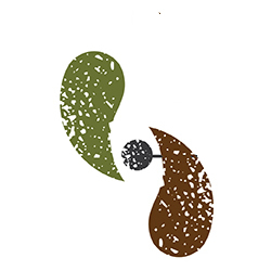 Mud-Skipper - Visual