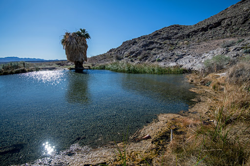 Rogers Spring - Visual