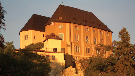 Schloss Steyregg Schloßberg 1, 4221 Steyregg, Österreich