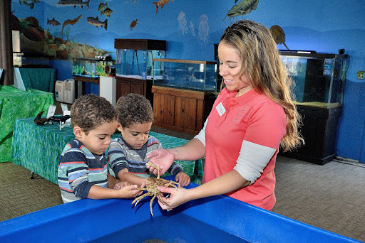 Glen Echo Park Aquarium Logo
