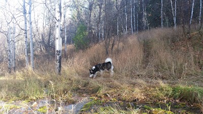 Photos of Big Springs Park