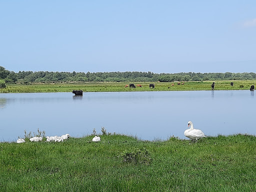 Photo de Randonnées dans les Marais de Long, Longpré-les-Corps-Saints à Longpré-les-Corps-Saints (80510)