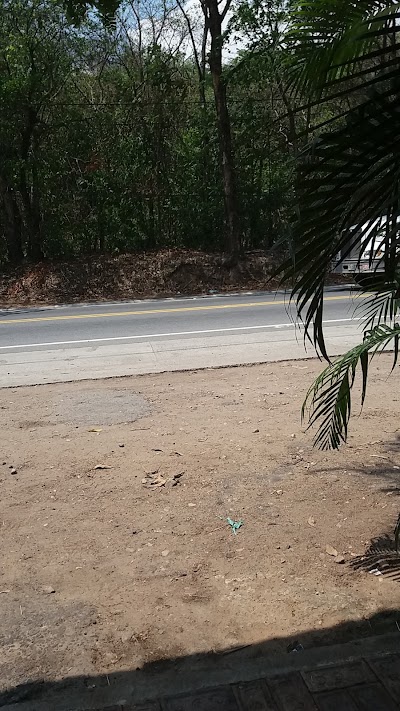 Photos of Residencias El Transportador