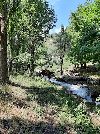 Kırkgöz Mesire Alanı