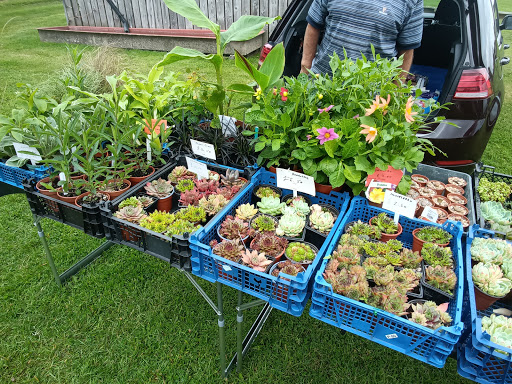 Woolaston Carboot - Visual
