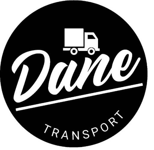DANE MOVERS - Visual