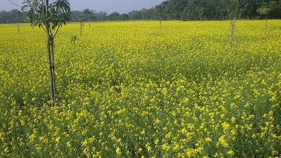 Photos of Abdul Hamid Villa