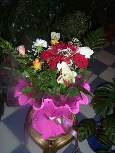 Photos of Fleuriste Assilah
