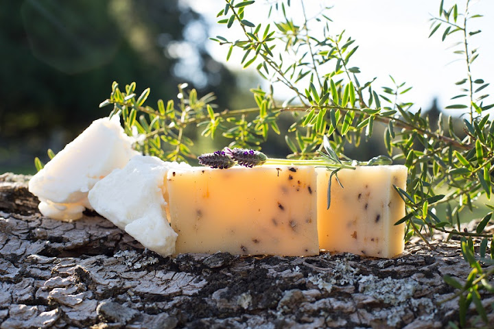 Flying Fish Design Store by null