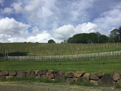 Belle Pente Vineyard & Winery