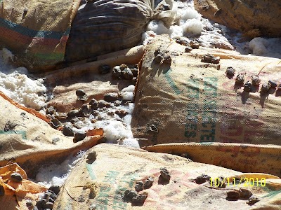 Photos of Zakian Surveyors & Loss Adjusters L.L.C