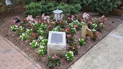 Photos of UNC REX Healthcare