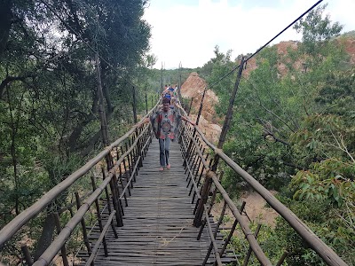 Photos of The Elephant Sanctuary - Hartbeespoort