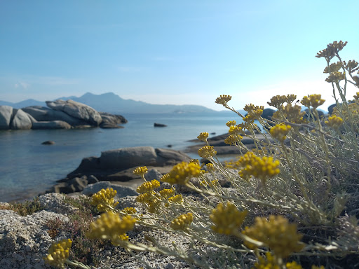 Photo de Villa Alba Bianca à Lumio (20260)
