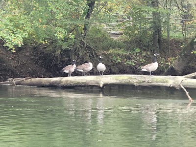 French Broad Outfitters - Hominy Creek