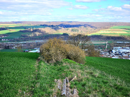 Steinmännchen am Franzosenweg Logo