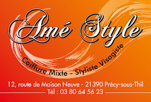 Photo n°2 de Amé Style à Précy-sous-Thil (Salon de coiffure)