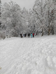 Photo n°21 de Foyer d'Activité Rural de Bonnefond à Bonnefond (Station de ski)
