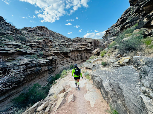 The Grand Canyon National Park Foundation Gallery - United States