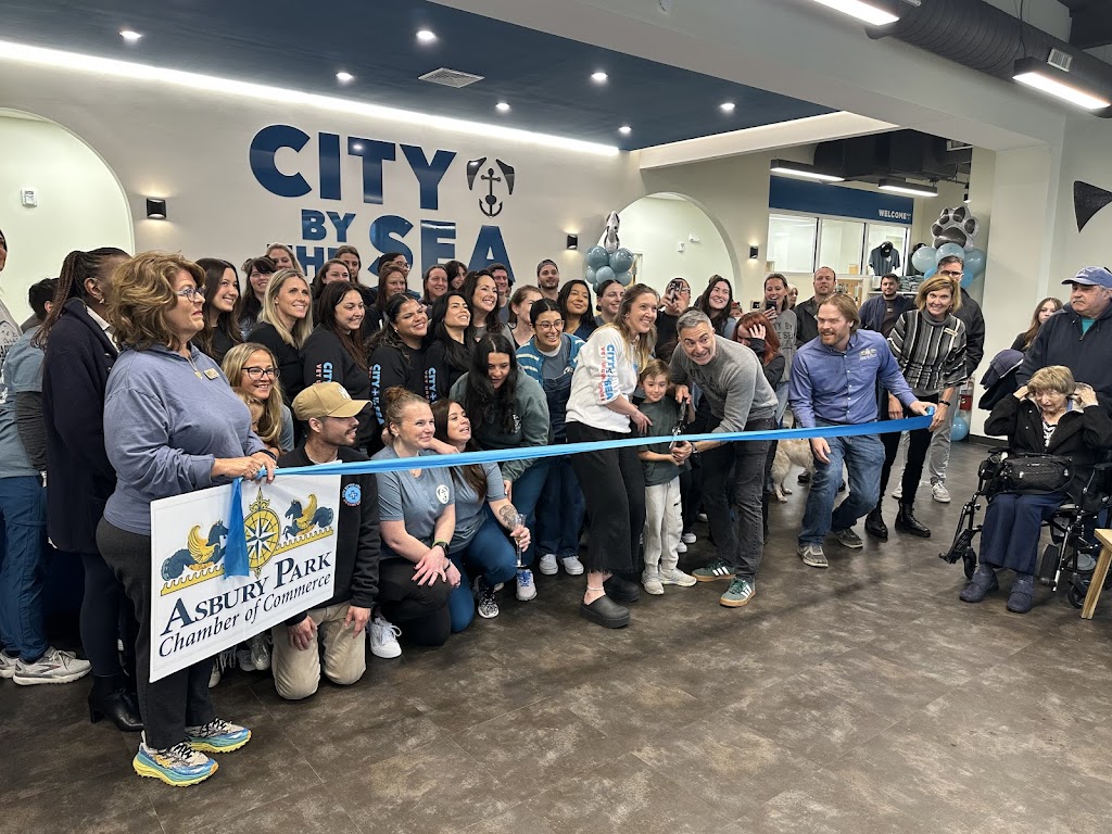 City By The Sea Veterinary