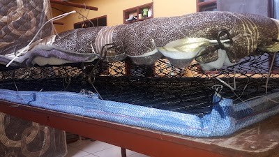 Photos of Colchones y Sommiers Velez
