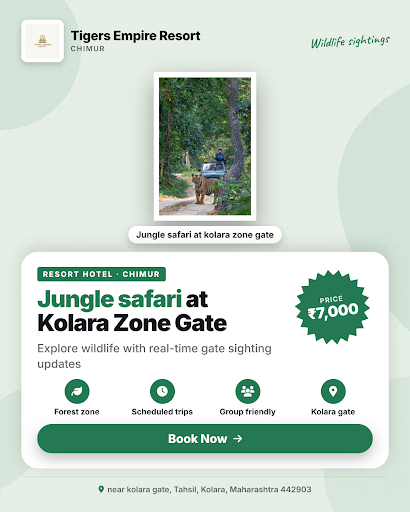 Experience an exciting jungle safari at Kolara Zone Gate with real-time updates on sightings. Sta… post image
