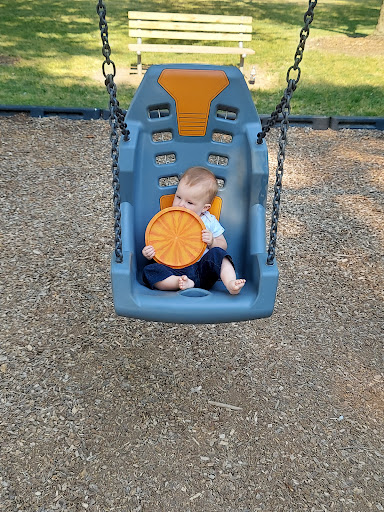 Eckhart Park Disc Golf Course - Thumbnail