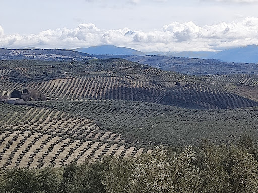 Cortijo Vista Alegre - Thumbnail