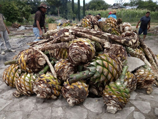 Mezcal Artesanal Tierra de Amates - Thumbnail