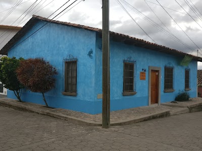 Photos of Iguana Azul