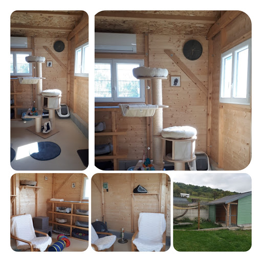 Photo de Résidence Marguerite à Pont-Saint-Vincent (54550)