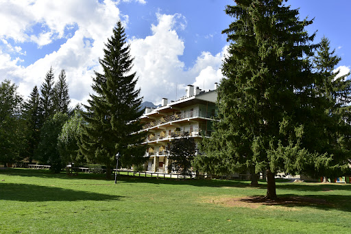 Roser Park - Visual