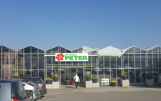Peter Flower