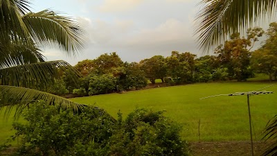 Photos of Samanes Park