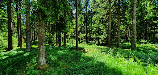 Alte Tränke - Visual