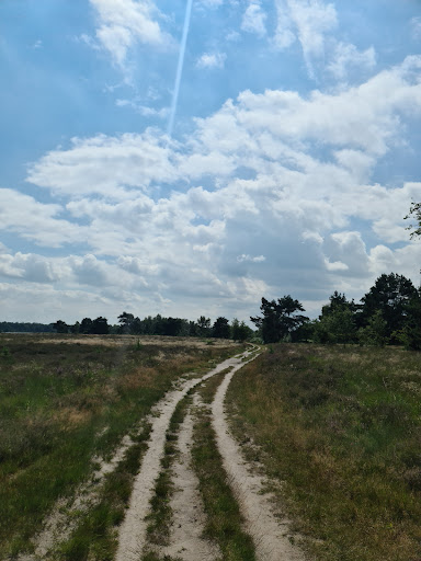 Kuikseind, Zon en Leven Gallery - Netherlands