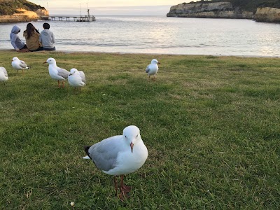 Photos of Port Campbell Surf Lifesaving Club