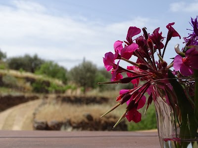 Photos of &Iota;&Omega;&Alpha;&Nu;&Nu;&Omicron;&Upsilon;, &Omicron;&Iota;&Nu;&Omicron;&Theta;&Epsilon;&Rho;&Alpha;&Pi;&Epsilon;&Upsilon;&Tau;&Eta;&Rho;&Iota;&Omicron;