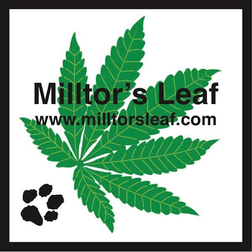 Milltor's Leaf - Visual