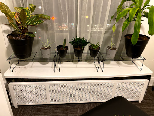 Mend Wellness Gallery - United States